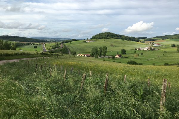 Alors que la Haute-Saône est l'un des départements où le plus d'agriculteurs ont choisi le bio, un nombre croissant d'entre eux envisagent de quitter le label