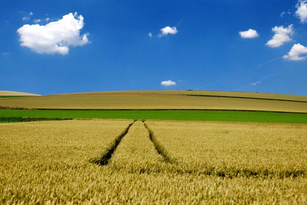 Grand ciel bleu ce dimanche ?