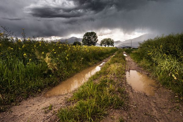 En cette fin de printemps 2018, orages et fortes pluies font partie du quotidien en Auvergne-Rhône-Alpes, comme dans le reste du pays. Ces fortes chutes d'eau ne signifient pas pour autant que le risque de sécheresse est écarté à l’approche de l’été.