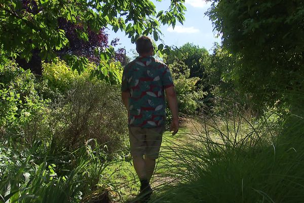 Stéphane laisse son jardin s'ensauvager pour favoriser la biodiversité.