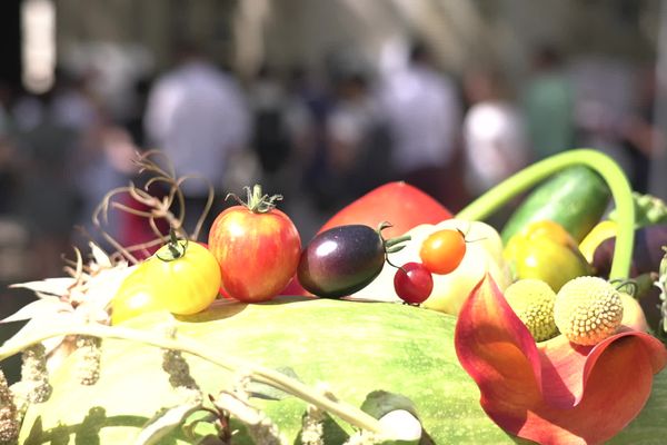 Une cinquantaine de variétés de tomates ont été testées avant que les meilleures ne soient proposées aux plus grands chefs de la région.