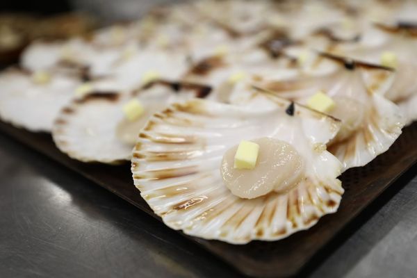 Comment ne pas rater la cuisson de vos coquilles Saint-Jacques ?