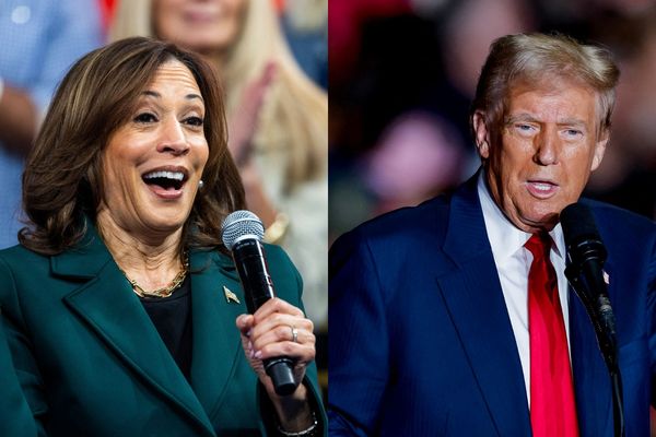 Kamala Harris ou Donald Trump ? Mardi 5 novembre, les expatriés américains à Lille seront fixés sur le nom de leur président.