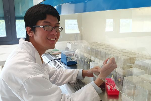  Huu Trong Nguyen, chercheur au sein du laboratoire Résistance induite et protection des plantes à Reims