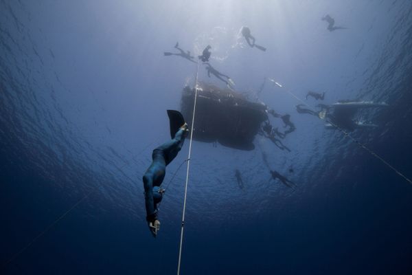 Nicolas Girardin, pendant une descente en apnée