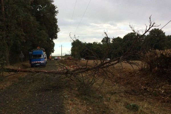 Un arbre tombé sur une ligne électrique à Pouillé dans la Vienne. 