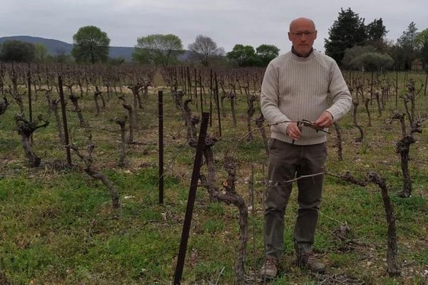 Serge Virenque, le viticulteur victime du vol, dans ses vignes à Saint-André-de-Sangonis.  24/03/20