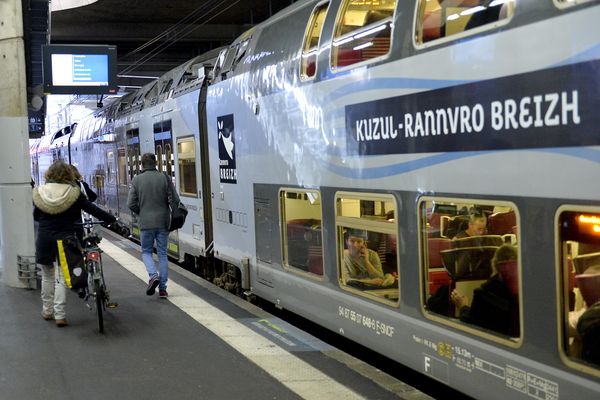 La région Bretagne ambitionne la mise en place d'un "BreizhGo Express", sur l'axe nord Brest-Rennes et sur l'axe sud Quimper-Vannes, potentiellement à partir de 2025.