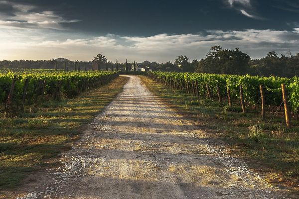 2ème producteur mondial de vin, la France a connu son plus faible volume en 2017.