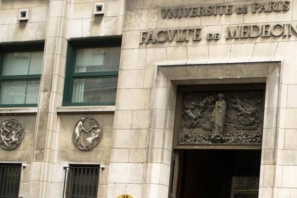 L'université de médecine Paris-Descartes, en juillet 2015. (MAXPPP)