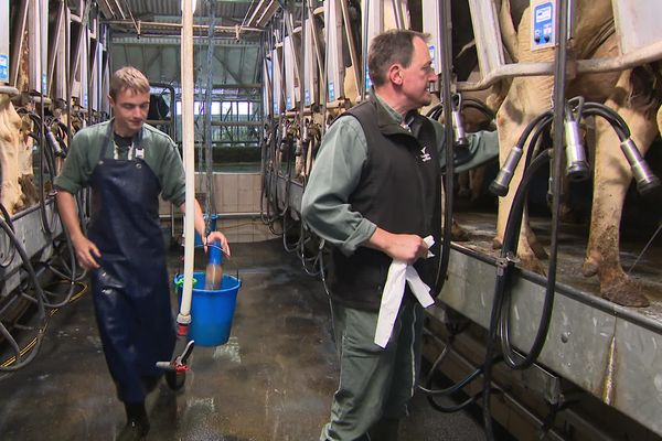 Marc Freyss et Ludovic Lentz sont associés. Ils vont travailler ensemble avant que Ludovic ne reprenne définitivement l'exploitation.