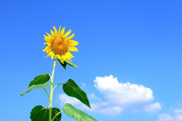 Quelques grisaille en matinée mais un très bel après-midi sur la région