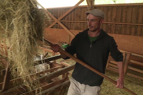 Les différents syndicats agricoles sont dans l'attente de la future majorité à l'Assemblée