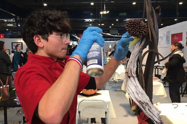 Une vingtaine d'apprentis s'affrontent à l'occasion de ce prix, qui vise à mettre à l'honneur l'artisanat de la chocolaterie.