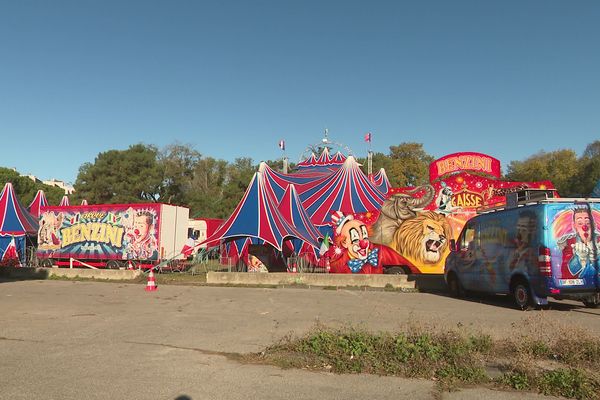 Le cirque Benzini est de retour à Marseille, sans autorisation, sur un terrain municipal du sud de la ville.