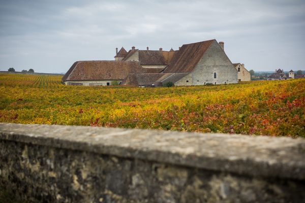 Vignes en automne à proximité du château du Clos Vougeot