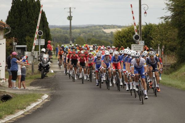 Peloton en ordre serré - Etape 1 - Montmoreau-Saint-Cybard > Royan - Jeudi 27 août 2020.