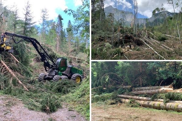Les intempéries du lundi 1er juillet ont touché des centaines d'hectares de forêts en Haute-Savoie.