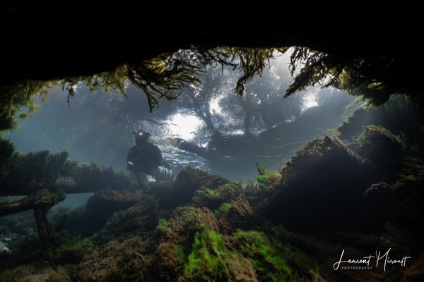 Ce plongeur est allé explorer la grotte en profondeur.