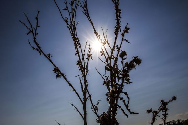 La Haute-Savoie passe en vigilance sécheresse. Photo d'illustration.