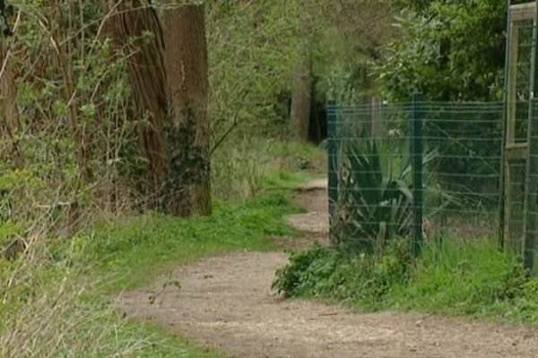  Le Chemin des Grèves, à la Chapelle-Saint-Mesmin, où a été découvert le corps.