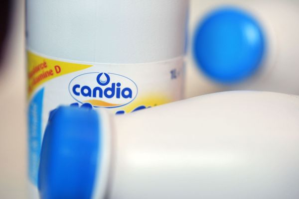 Un lot de lait Candia Baby croissance 4 (20-36 mois), commercialisé chez Casino, fait l’objet d’un rappel en raison d’une contamination par une entérobactérie. (Photo d'illustration)