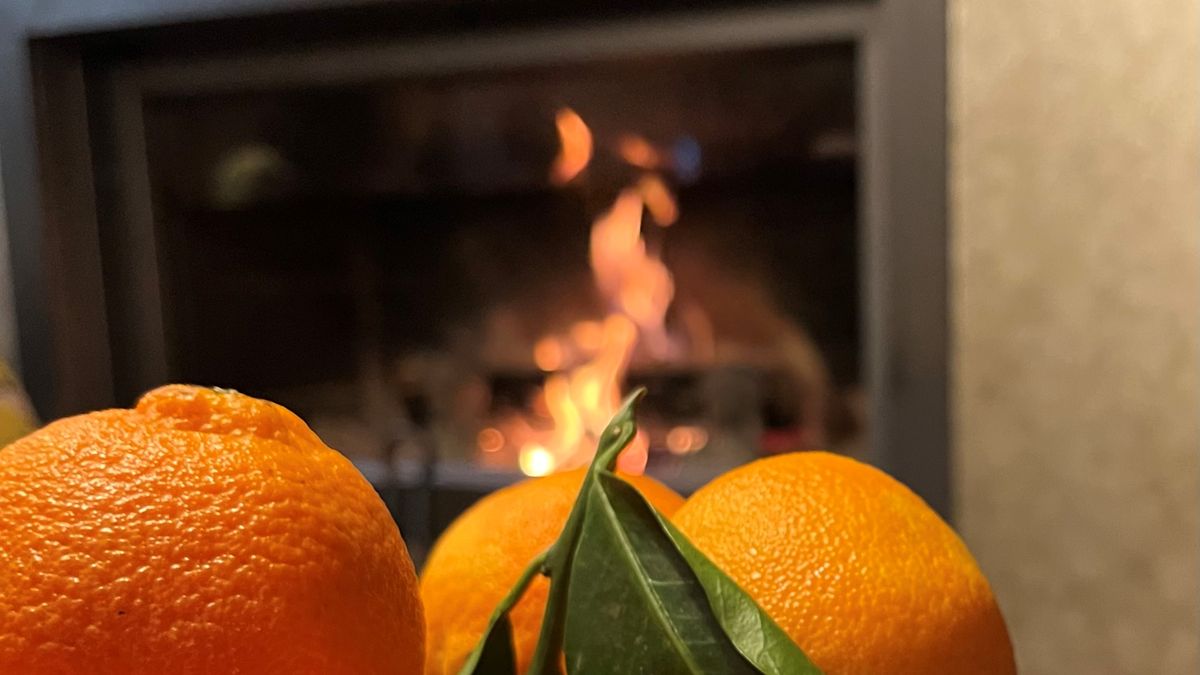 Bien allumer son feu dans un foyer fermé - Origine Rouen