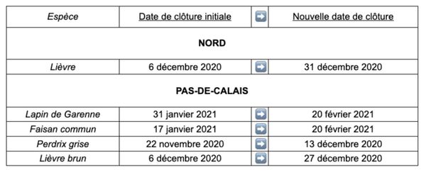 Dans Le Nord Et Le Pas De Calais La Chasse Au Petit Gibier Prolongee Pour Compenser Les Quatre Semaines De Confinement