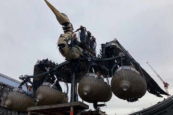 Le héron pour son vol d'essai le samedi 22 octobre 2022