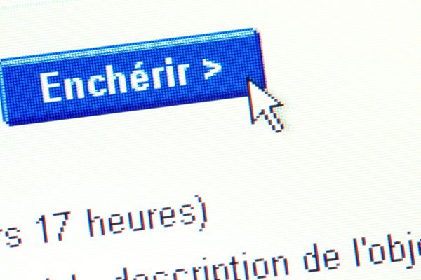 Les ventes aux enchères en direct sur internet enregistrent des records de connexions en cette période de confinement