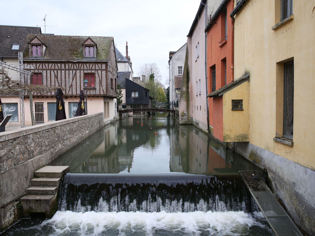 Insolite. Photos. Thionville : des légumes aux formes insolites