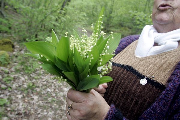 Un brin de ces clochettes blanches délicatement parfumées se vend généralement entre 2 et 2,50 euros. Certains préfèrent aller en forêt pour cueillir leur bouquet de muguet.