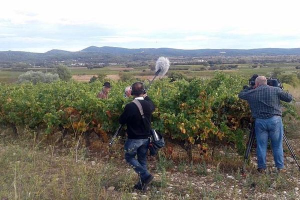 Viticulture et oléiculture se maintiennent à Saint-Jean-de-Fos dans l'Hérault