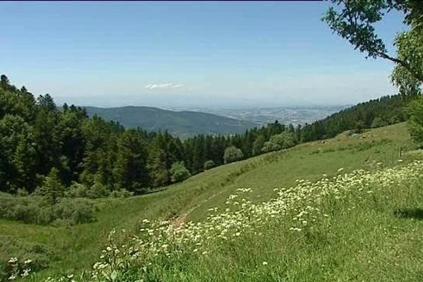 Coronavirus - l'interdiction préfectorale d'accès aux sentiers et parcs en partie levée dans la Loire