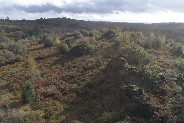 Vers une quatrième réserve naturelle nationale en Limousin ? Le dossier de candidature des landes à serpentine passera bientôt devant le Conseil national de protection de la nature.