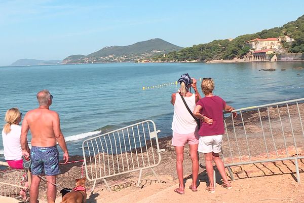 Un requin bleu vu à Hyères : la nouvelle attraction principale de la ville