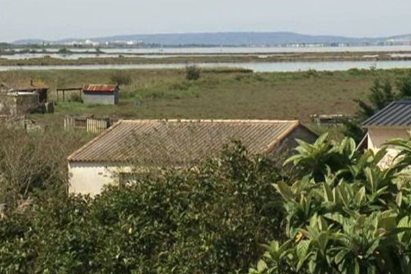 Près de 250 personnes vivent ponctuellement ou à l'année au bord de l'étang de l'Or, dans l'Hérault