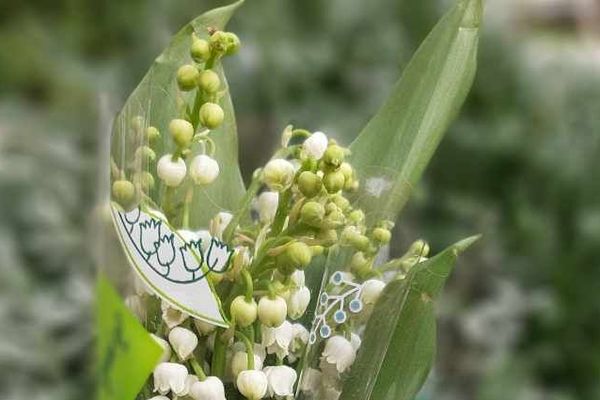 Le type de bouquet qui sera offert aux personnes âgées et aux soignants