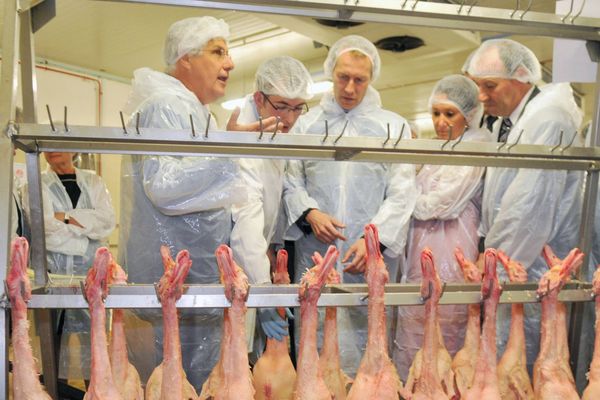 Le ministre de l'agroalimentaire Guillaume Garot en visite dans une conserverie de foie gras de canard ( Samatan, 23-07-2012)