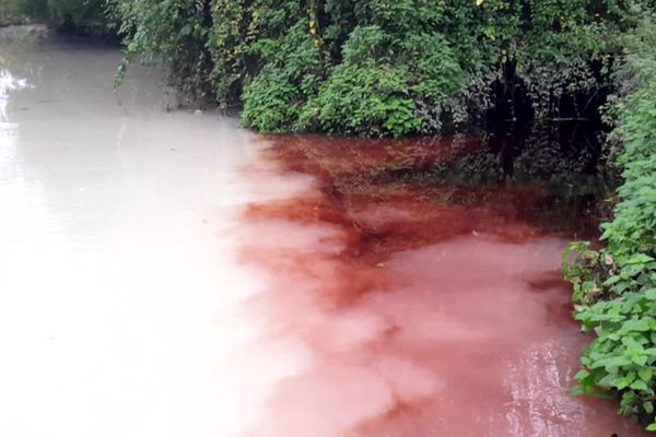 Ce jeudi 7 novembre, un épisode de pollution a touché cette rivière du Loiret, qui devient l'Essonne en aval.