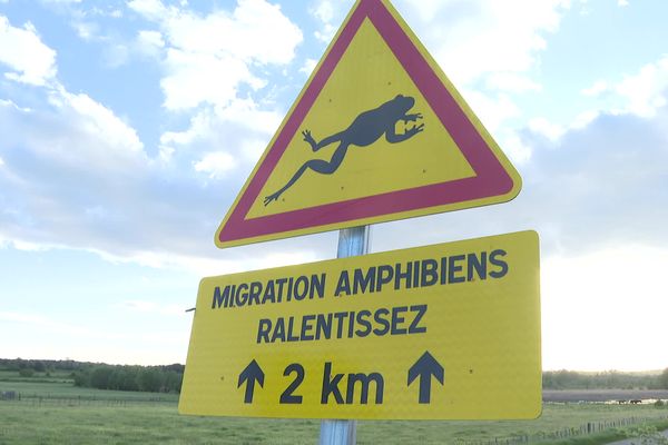 Huit panneaux comme celui-ci ont été installés sur les routes autour de l'étang de la Capelle.