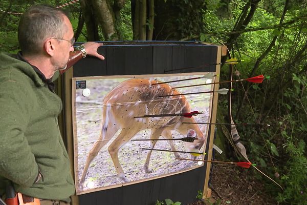 Le tir à l'arc nature consiste à tirer des flèches sur des photos d'animaux fixes, le nombre de points est déterminé par la précision du tir.