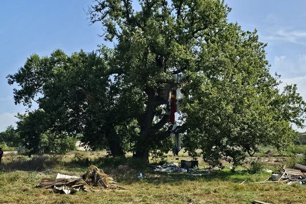 Évacuation de la Zad de la Cal'arbre à Saïx dans le Tarn par les gendarmes ce vendredi 30 aout 2024 pour évacuer les opposants à l’A69.