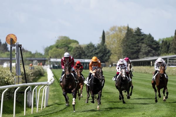 Lancement de la saison des courses hippiques à l'hippodrome de la Crau, à Salon-de-Provence (3 mars 2024)