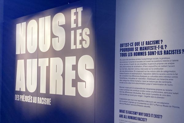 L'exposition "Nous et les autres, des préjugés au racisme" se tient au Museum de Bordeaux jusqu'au 5 février 2023.