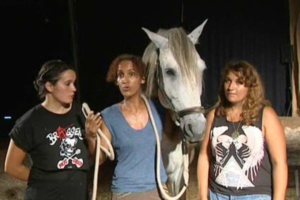 Dans la famille Werdyn, les enfants de la balle font corps avec leurs chevaux, tels des centaures.  