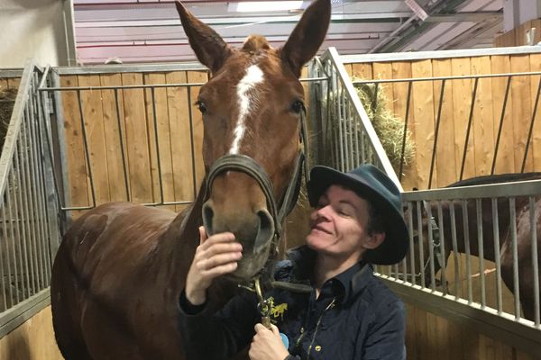 Nathalie Saillars élève des cobs normands dans la Manche