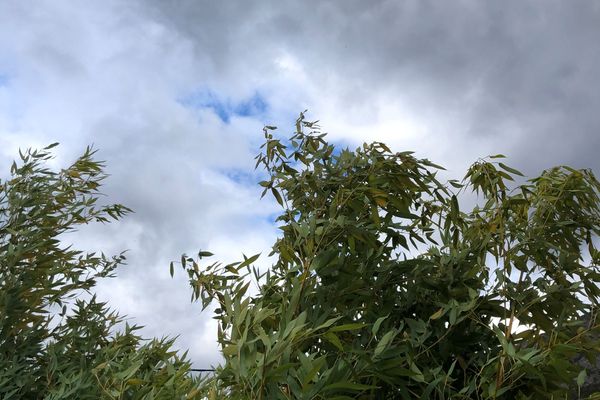 Vent violent en Isère