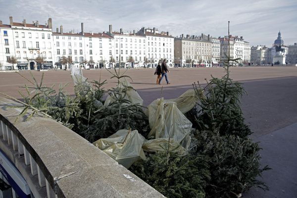 Les points de collecte de sapins ouvriront ce lundi 4 janvier sur la métropole de Lyon.