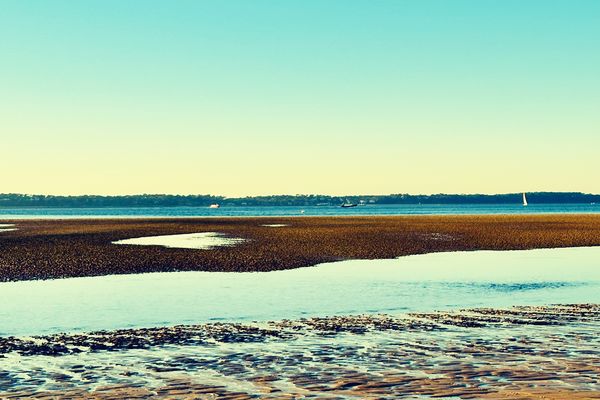 Le paysage se réinvente à chaque marée basse et sous un soleil de plus en plus présent plage des Arbousiers à Arcachon.